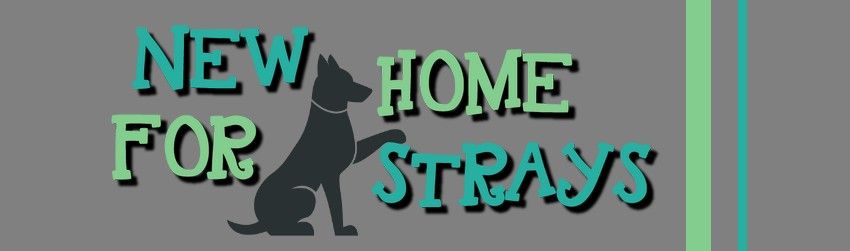 New Home for Strays e. V.